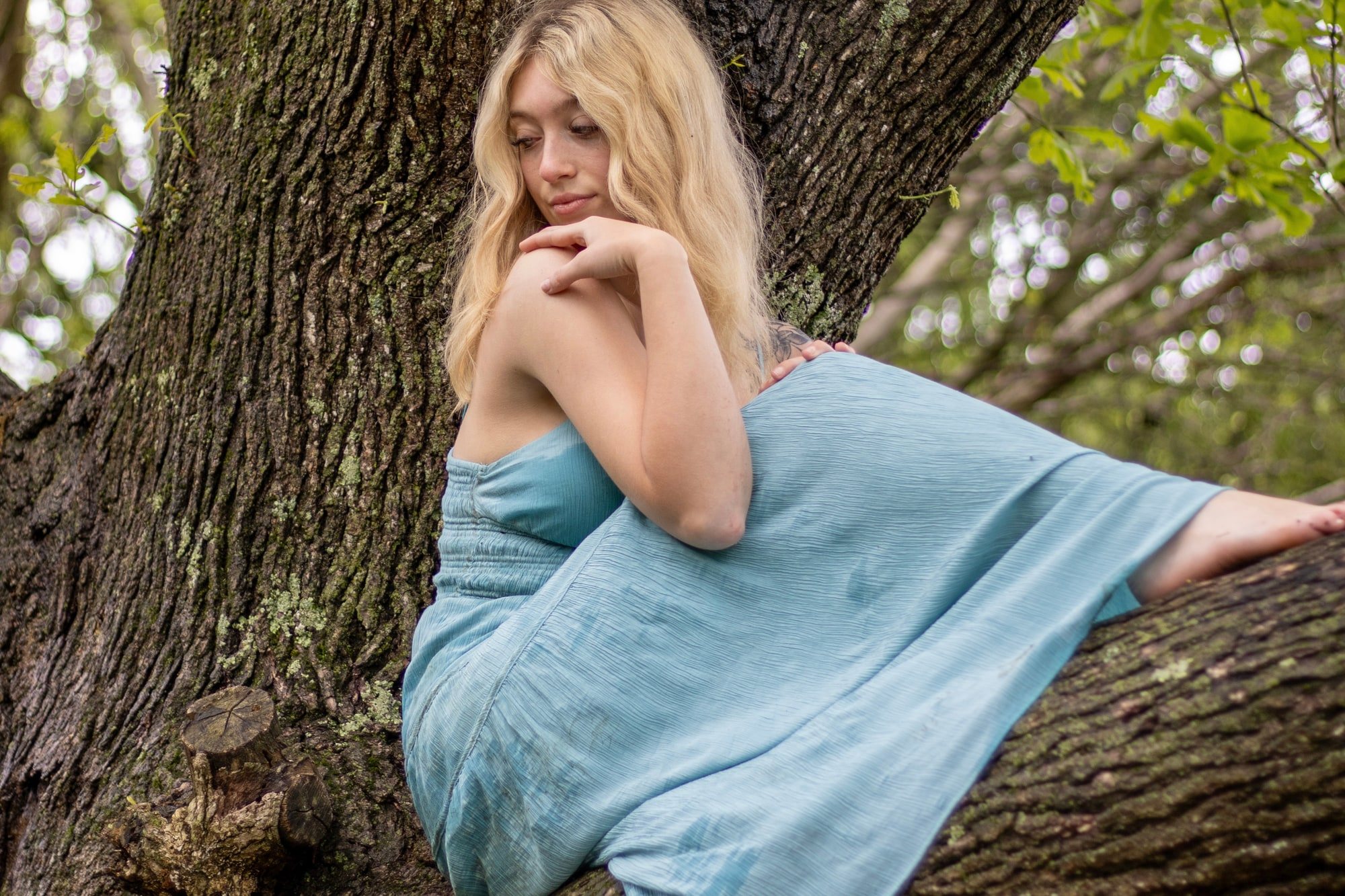 Portrait session in a tree at golden hour